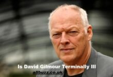 Is David Gilmour Terminally Ill
