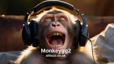 Monkeygg2