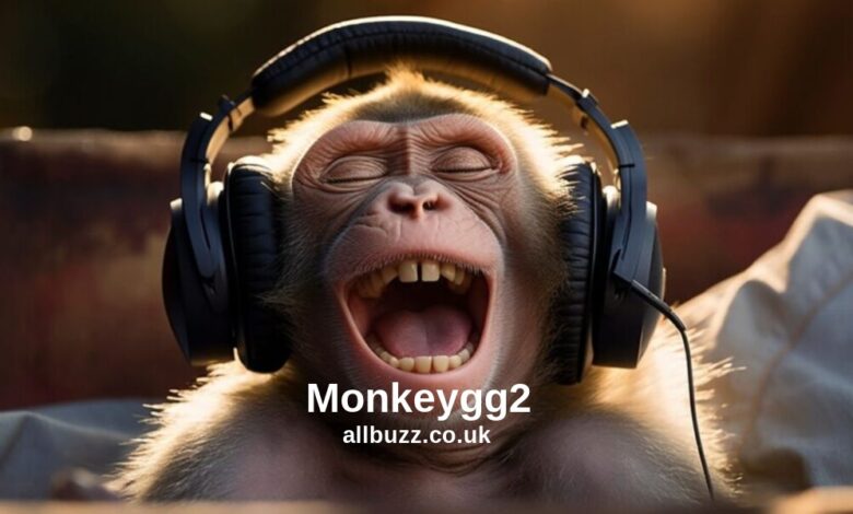 Monkeygg2