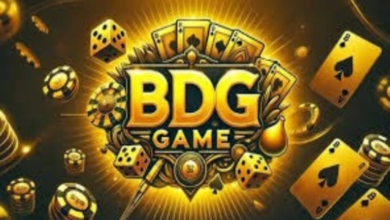 BDG Game