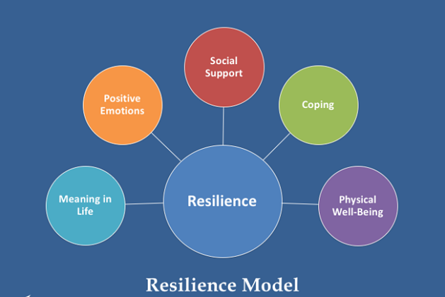 Resilience